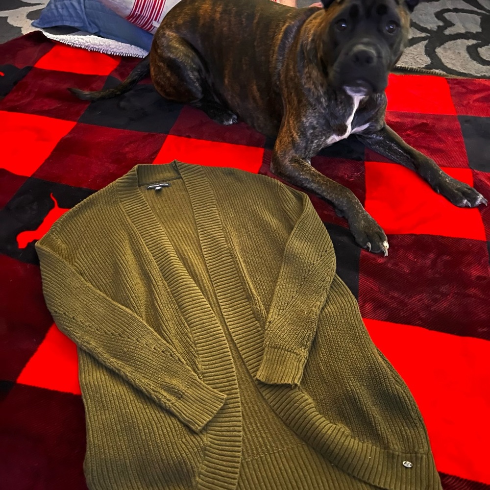 American Eagle Oversized green Cardigan 🦅🦅